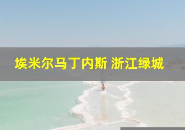 埃米尔马丁内斯 浙江绿城